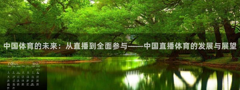 88直播看球吧：中国体育的未来：从直播到全面参与——中国直播体育的发展与展望