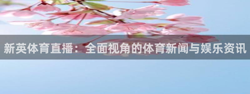 看球吧直播：新英体育直播：全面视角的体育新闻与娱乐资讯
