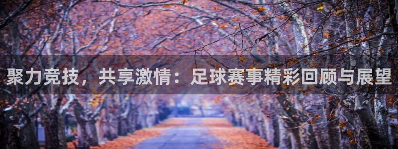 体育直播看球吧：聚力竞技，共享激情：足球赛事精彩回顾与展望