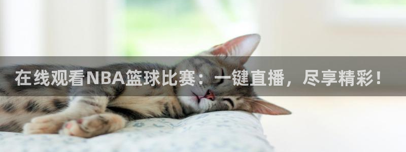 看球吧直播在线观看：在线观看NBA篮球比赛：一键直播，尽享精彩！
