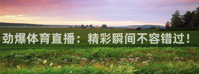 看球吧直播 在线观看：劲爆体育直播：精彩瞬间不容错过！