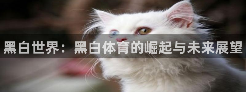 看球吧直播 在线观看nba：黑白世界：黑白体育的崛起与未来展望