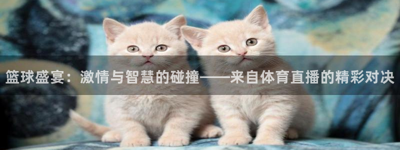 看球吧：篮球盛宴：激情与智慧的碰撞——来自体育直播的精彩对决