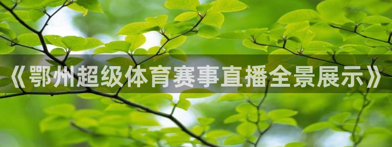 nba看球吧免费直播：《鄂州超级体育赛事直播全景展示》