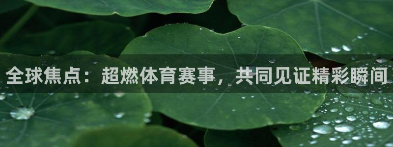 看球吧足球直播：全球焦点：超燃体育赛事，共同见证精彩瞬间